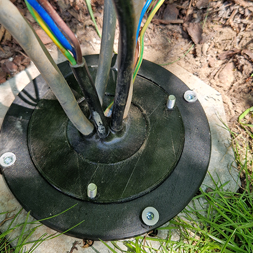 Dynamic Content Image